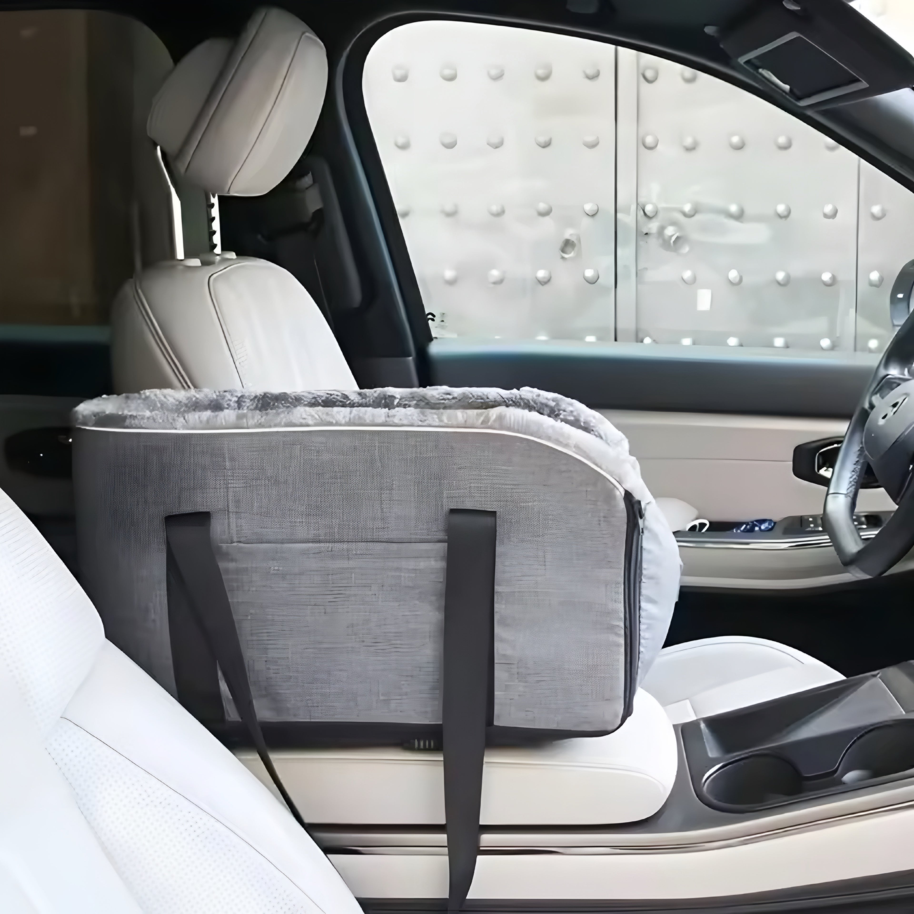 Säkerhetssäte för Husdjur